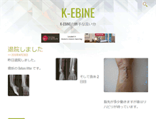 Tablet Screenshot of k-ebine.com